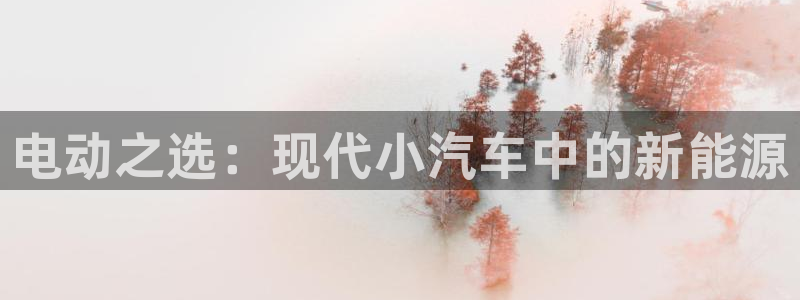 门徒官方娱乐:电动之选:现代小汽车中的新 门徒官方娱乐:电动之选:现代小汽车中的新