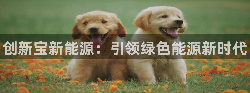 娱乐门徒女主角:创新宝新能源:引领绿色能 娱乐门徒女主角:创新宝新能源:引领绿色能